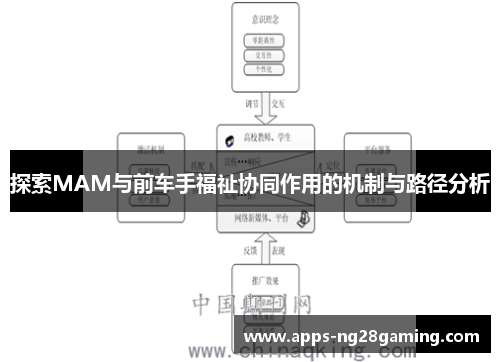 探索MAM与前车手福祉协同作用的机制与路径分析
