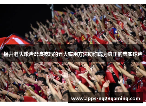 提升港队球迷识波技巧的五大实用方法助你成为真正的忠实球迷