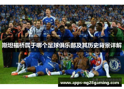 斯坦福桥属于哪个足球俱乐部及其历史背景详解