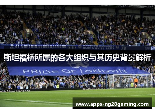 斯坦福桥所属的各大组织与其历史背景解析