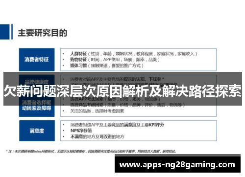 欠薪问题深层次原因解析及解决路径探索