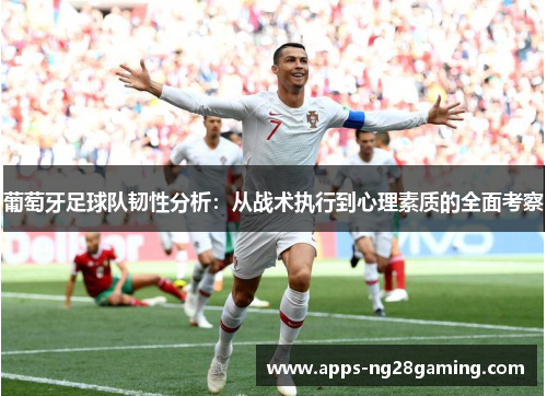 葡萄牙足球队韧性分析：从战术执行到心理素质的全面考察