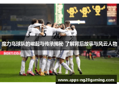 魔力鸟球队的崛起与传承揭秘 了解背后故事与风云人物