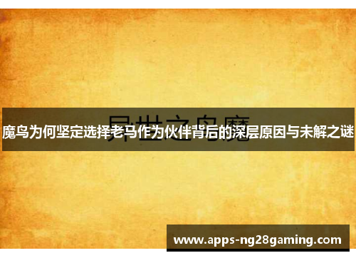 魔鸟为何坚定选择老马作为伙伴背后的深层原因与未解之谜