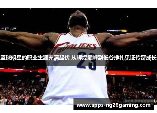 篮球明星的职业生涯充满起伏 从辉煌巅峰到低谷挣扎见证传奇成长