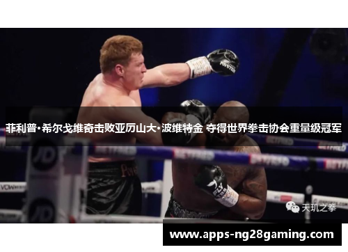 菲利普·希尔戈维奇击败亚历山大·波维特金 夺得世界拳击协会重量级冠军